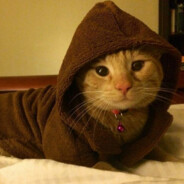 KuBuS ♥♥♥♥♥♥♥♥♥♥