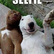 ✪s0fles^