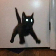 Zepbop