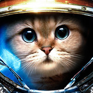 Mr.GoodCat