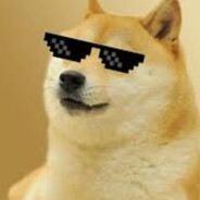 D.O.G.E.