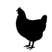 petrgregor