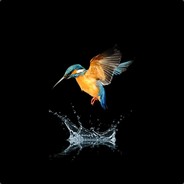 calipso641