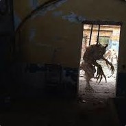 друг