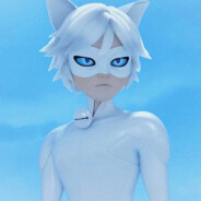 Cat Blanc