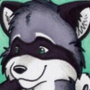 MaxRaccoon