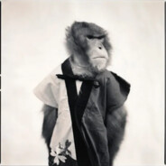Commander Monkey