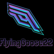 FlyingGoose22