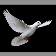 Bożydar666