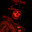 Group Avatar