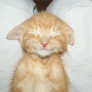 mmewct