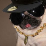 Realswagoverlord