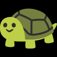 Furtle Turtle