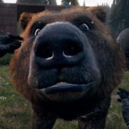 American_Bear