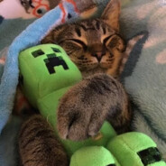 monkeyfunki
