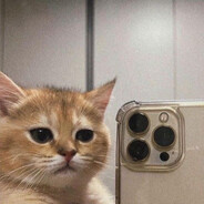 MEOOW