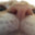 Group Avatar