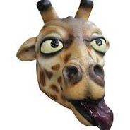 jimd0g