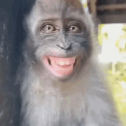 TheSmokingMonkey