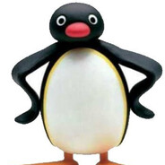 PINGU