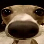 Avatar de la communauté Steam