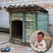 сланцы