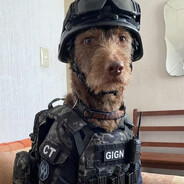 Agente G.U.Apo
