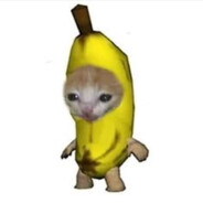 Jabota