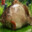Group Avatar