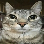 x3llaOficjalnie