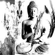 buddha m