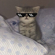 LAZER