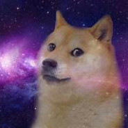 the doge master
