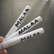 maxkzm