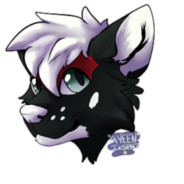 Rosco_The_GShep