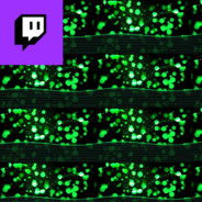 TwitchTV /Mr AWP