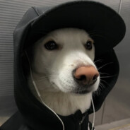𝑫𝒌𝒁 ✞™    読んだ
