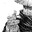 Group Avatar