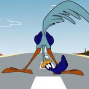 Meep Meep