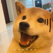 vanboi