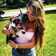 Kanker Goat