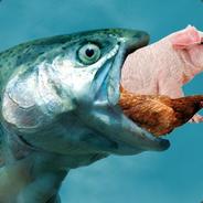 Fisken