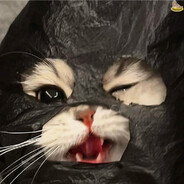 Meow Rainbow