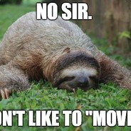 Stupid Sloth!