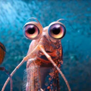 krill