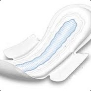 Sanitry pad inspector