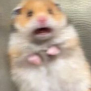vopiax