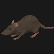 Zodioco