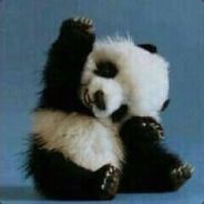 Steam profile picture for @puspa