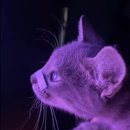 []